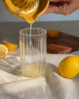 Citrus Reamer