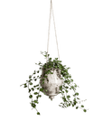 Raku Hanging Cone Planter