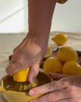 Citrus Reamer
