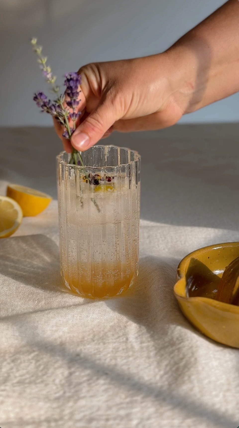 Citrus Reamer